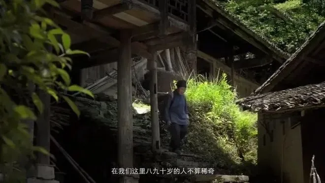 反诈警示图片